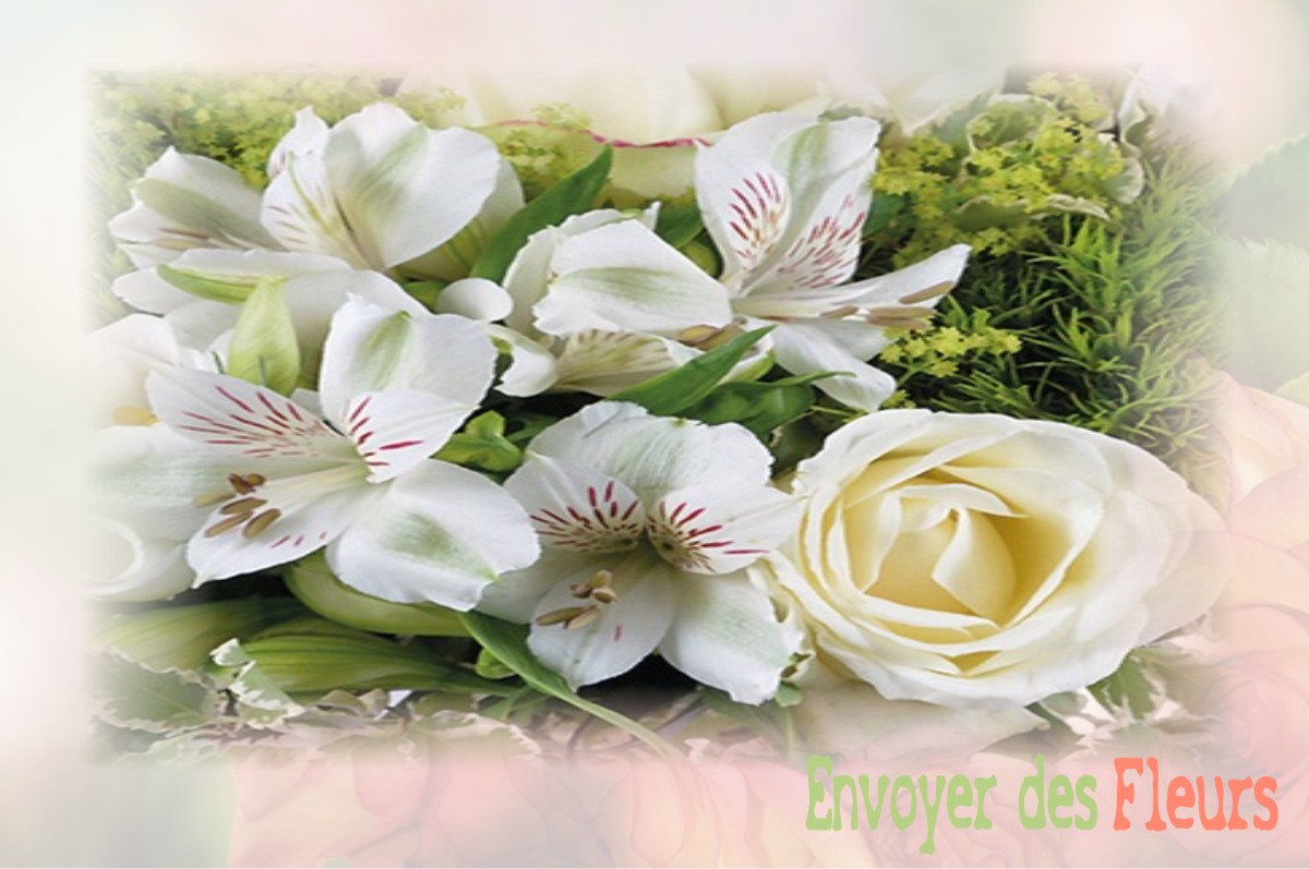 envoyer des fleurs à à SAINT-MARTIN-DE-LA-MER